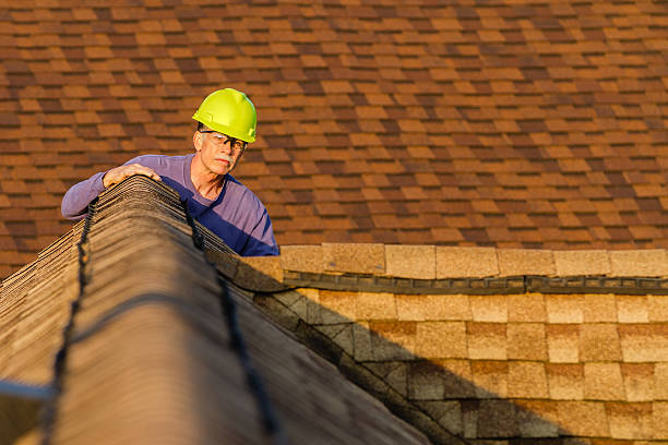 Roof Gutter Cleaning in Morgantown, KY